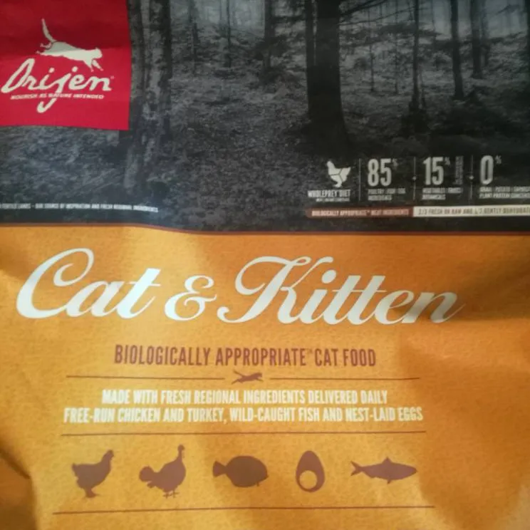 Origen Cat And Kitten Cat Food photo 1