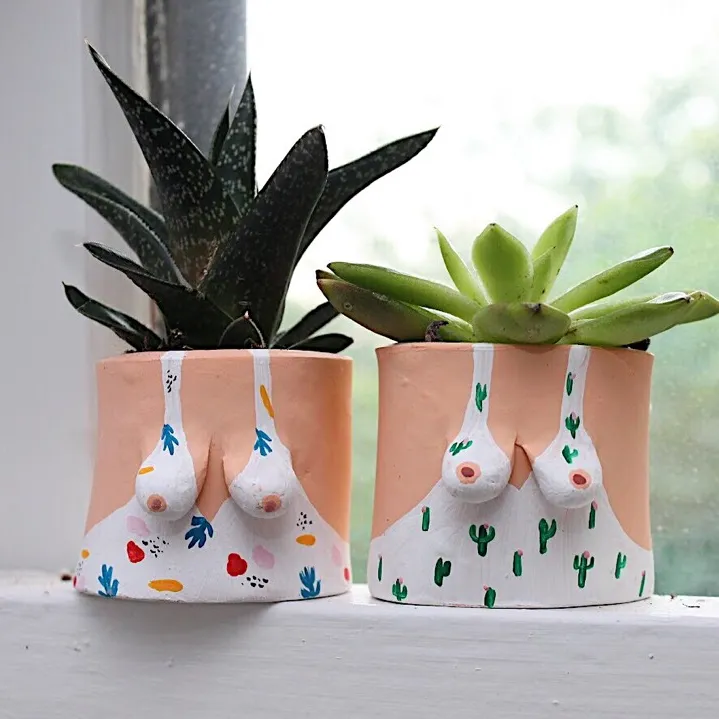Mini Patterned Boob Pots with Succulents! photo 4