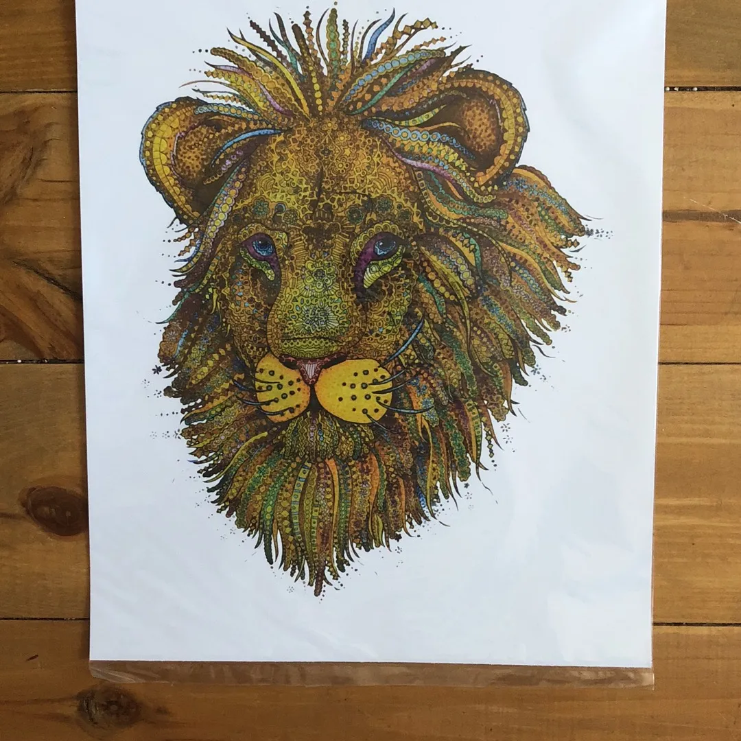 11”x14” Print Of “Dandy Lion” photo 1