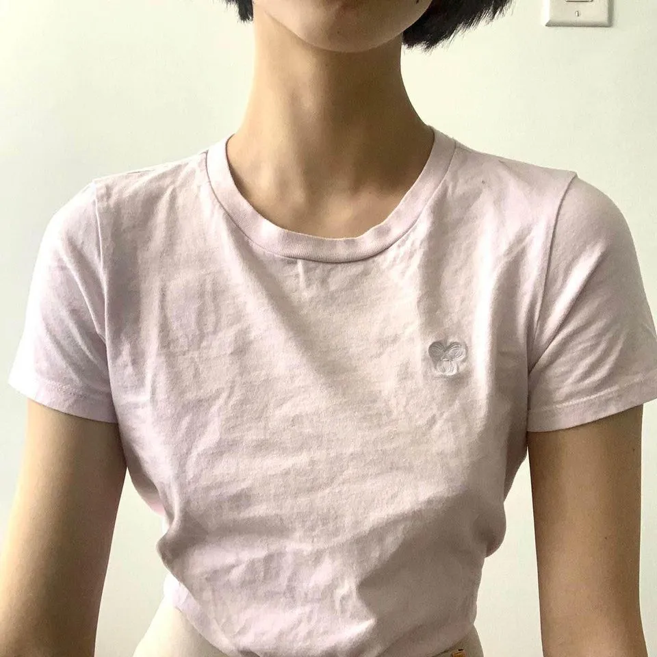 Aritzia Light Pink Fitted Tee photo 4