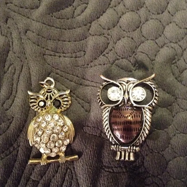 Owl Charms photo 1