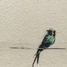 Banksy Birds Print photo 3