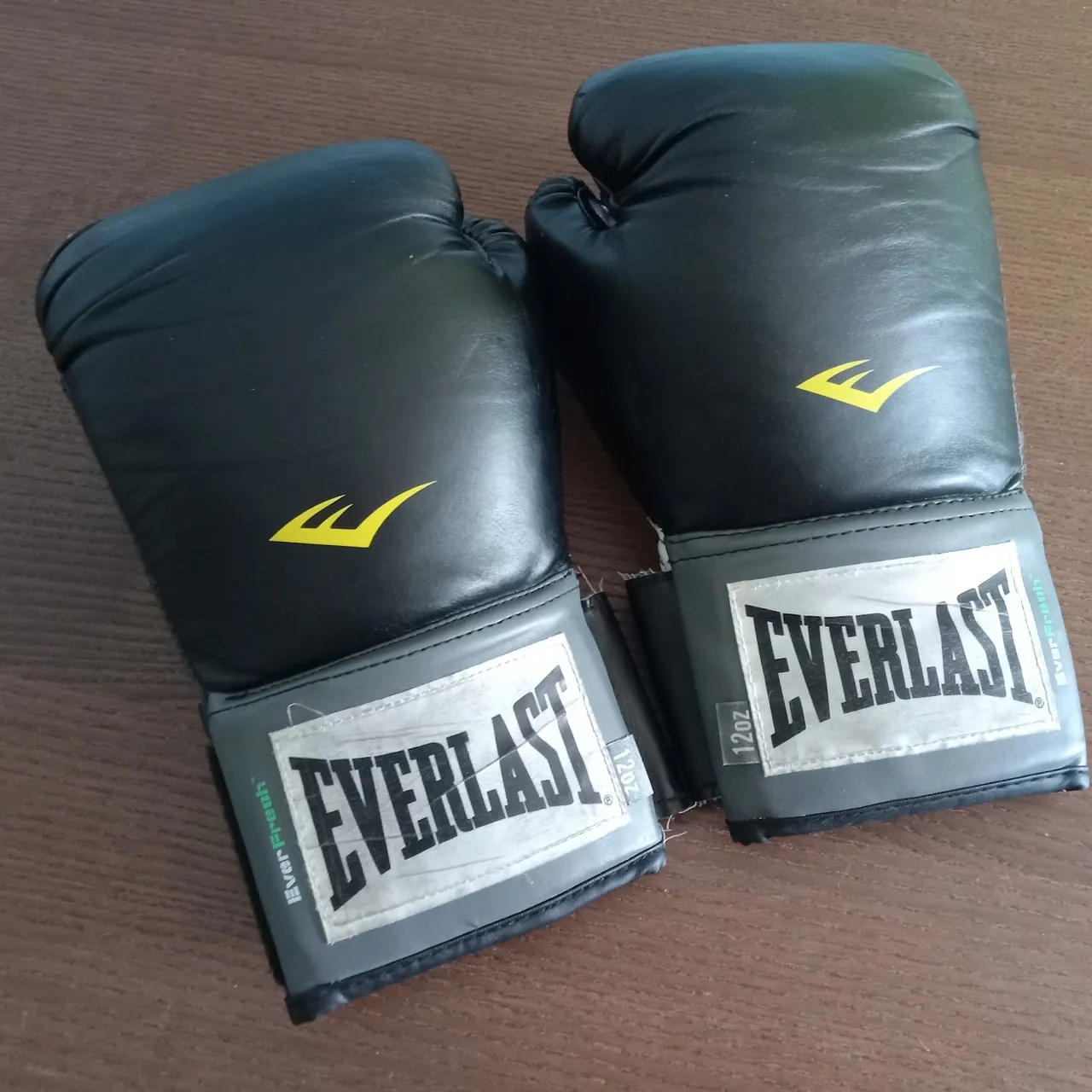 Everlast Boxing Gloves photo 1