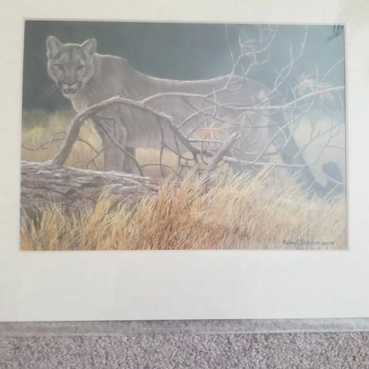 Robert Bateman Print "Cougar at Kilomun" photo 1