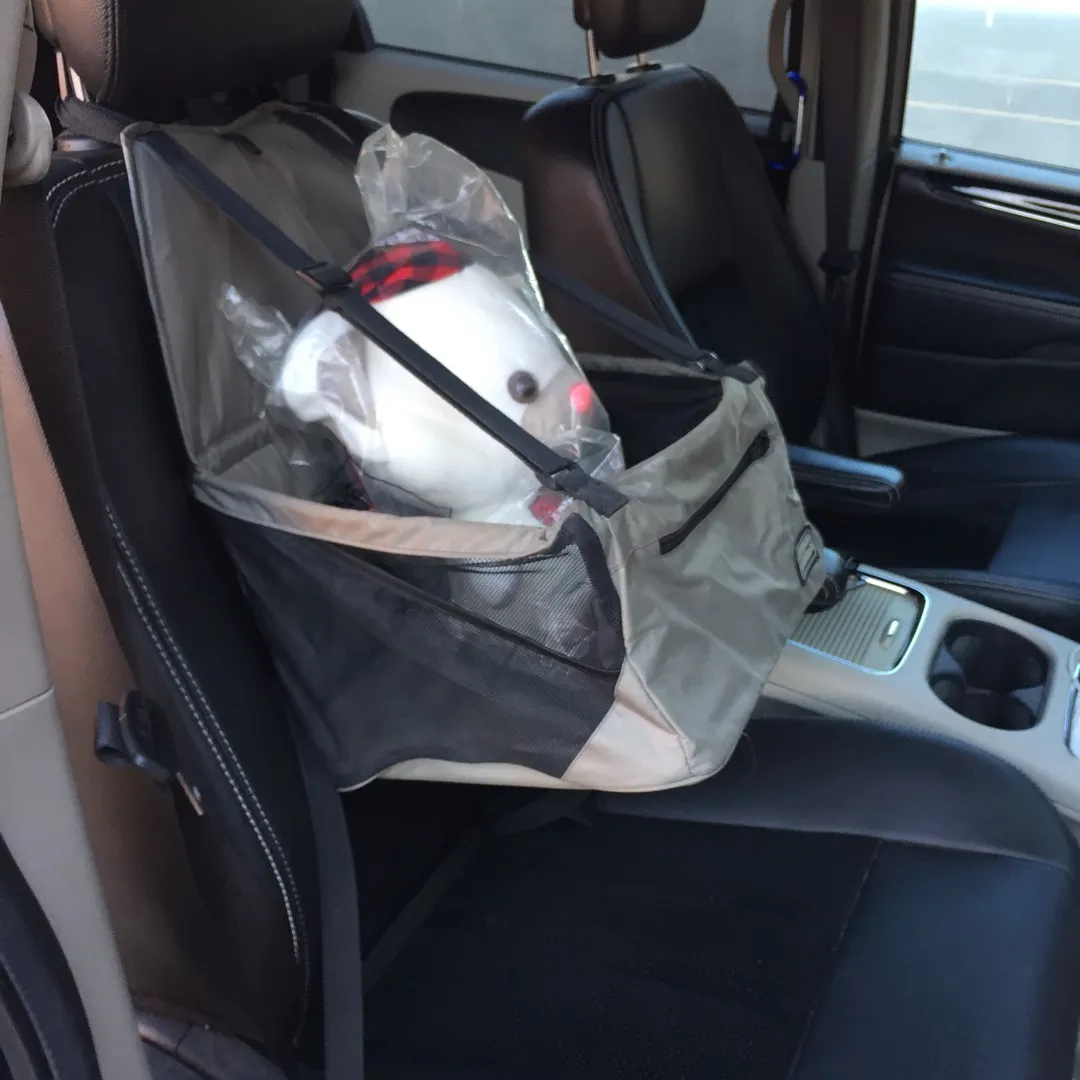 Doggie Booster Seats photo 5