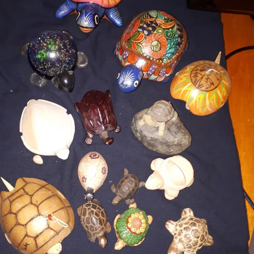 Turtle Collection photo 1