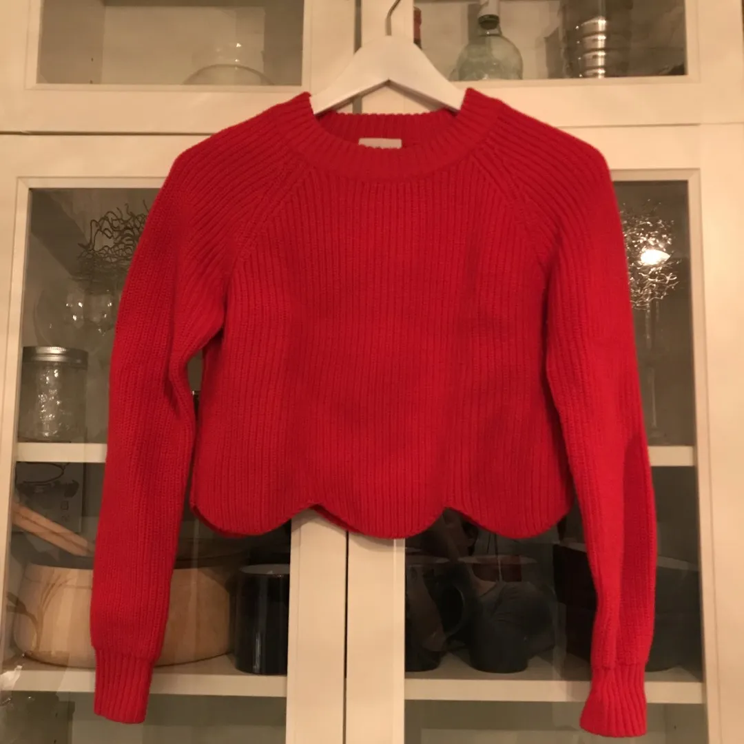 EUC - Wilfred Italian Yarn Sweater photo 1