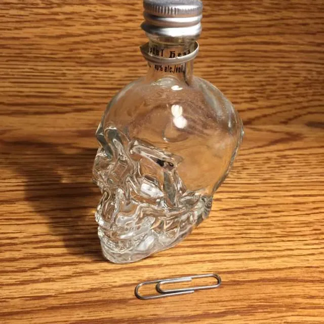 Empty Glass Skull Bottle photo 1