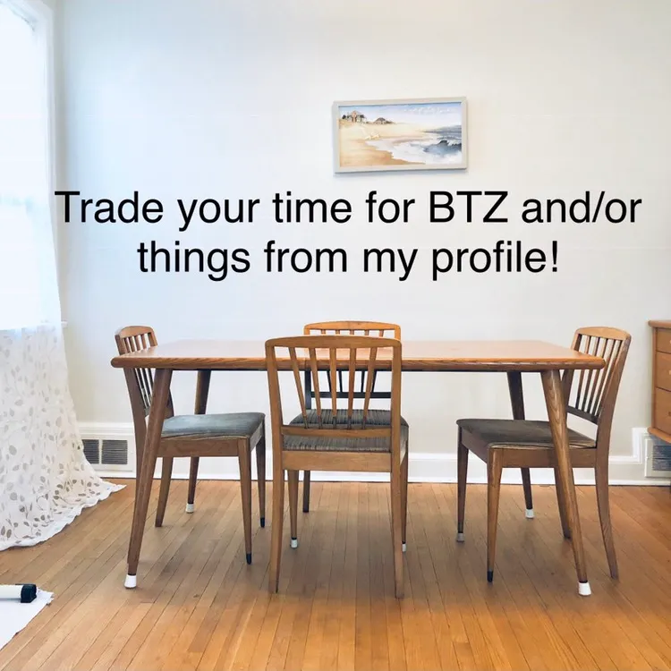 Trade Your Time For BTZ and/or Things From My Profile photo 1