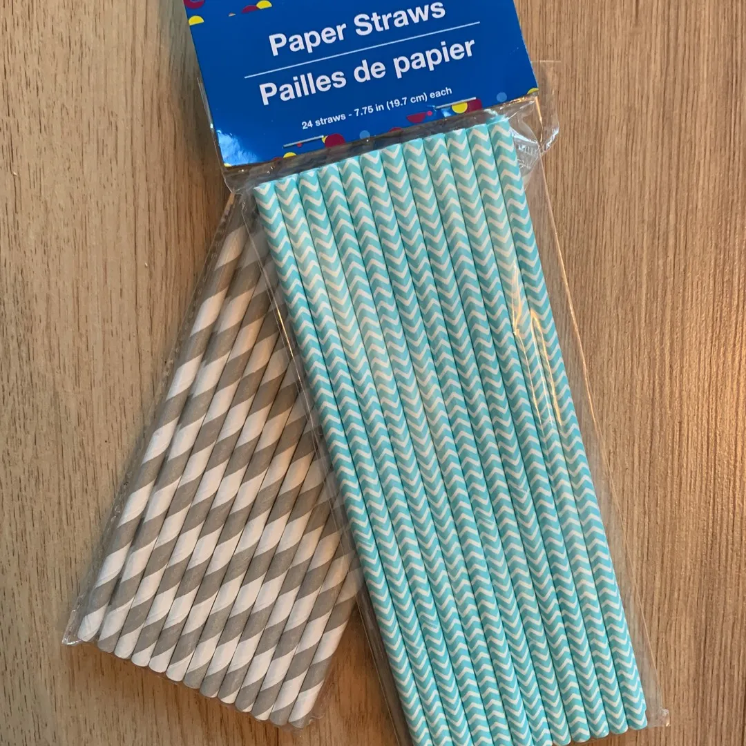 Paper Straws photo 1