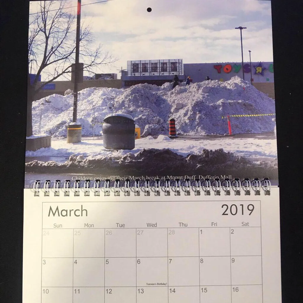 Real Toronto 2019 Calendar (Misprint) photo 5