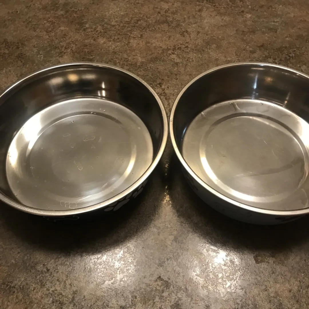 Dog Food Bowls photo 1