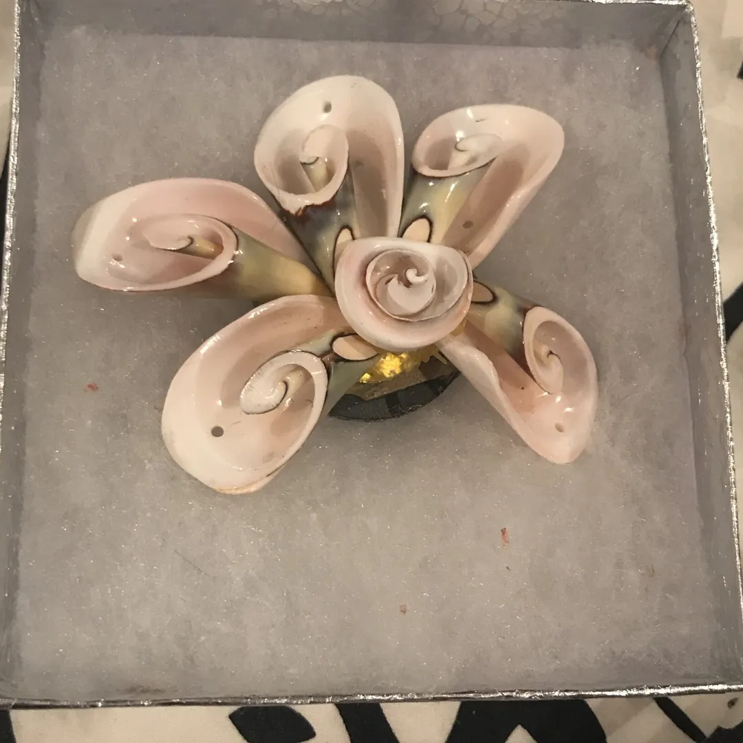 Shell Magnet photo 1
