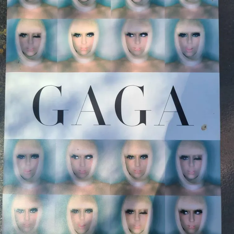 Lady GAGA Hardcover BOOK photo 3