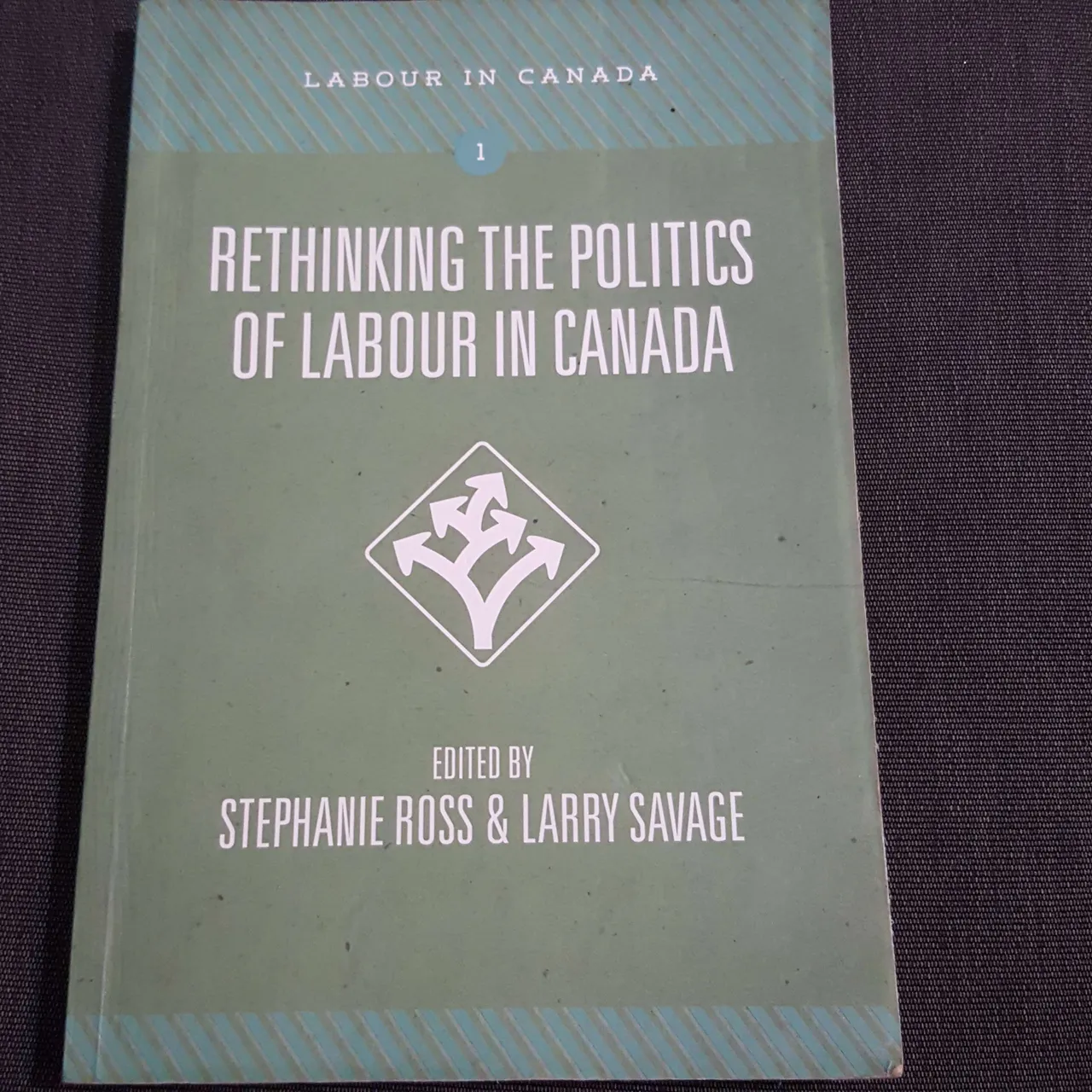 Rethinking the Politics of Labour in Canada photo 1