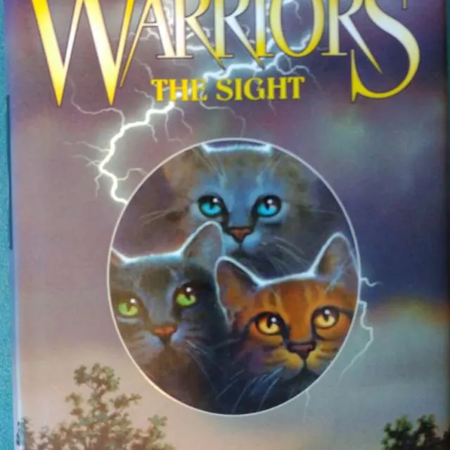Power Of 3 Warriors The Sight Book photo 1