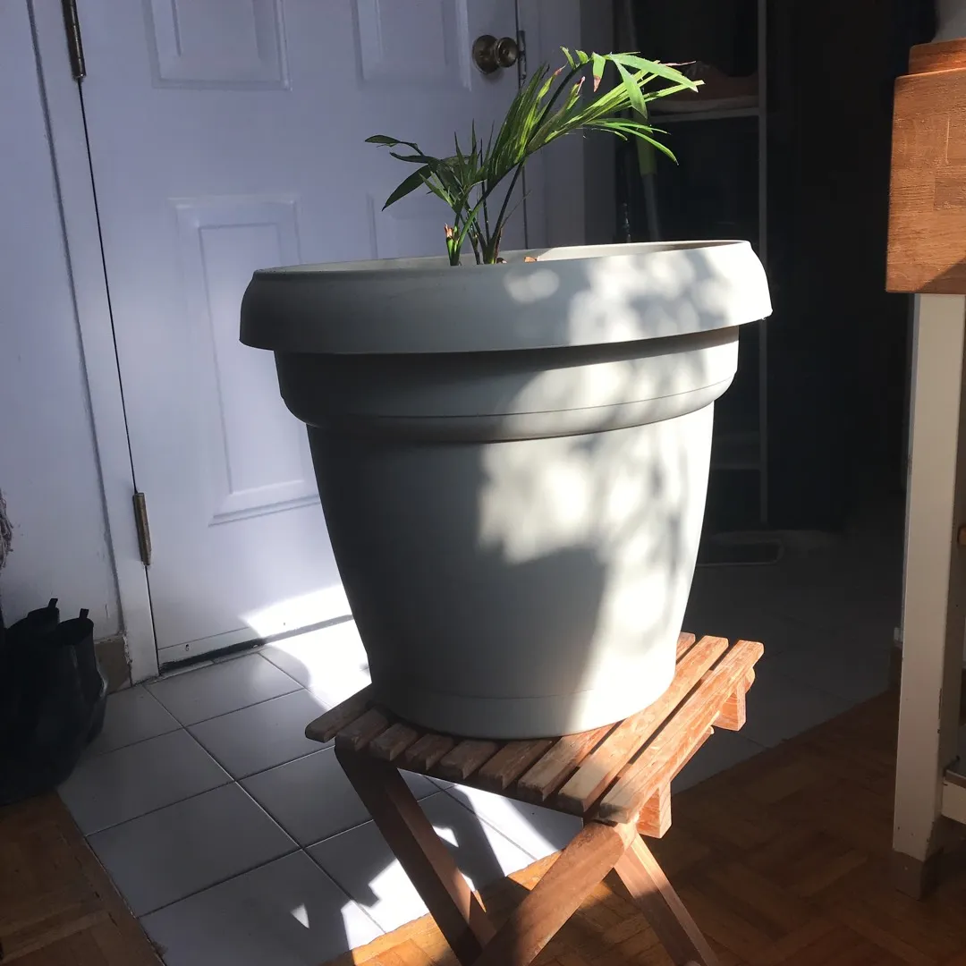 Large planter 🌱 photo 1