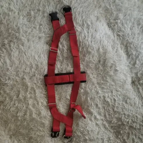Dog Harness For Car And Daily Activities Too photo 7