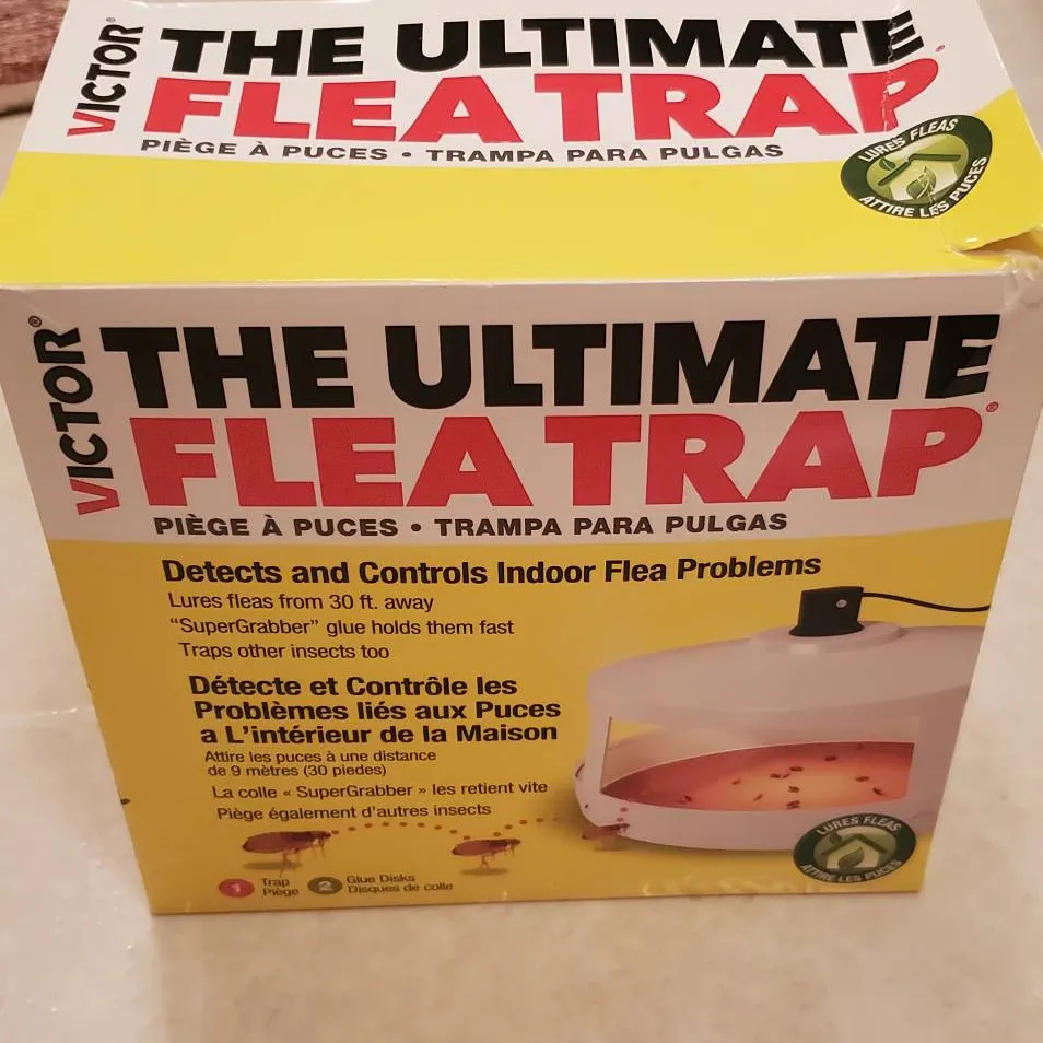 Flea Trap photo 1