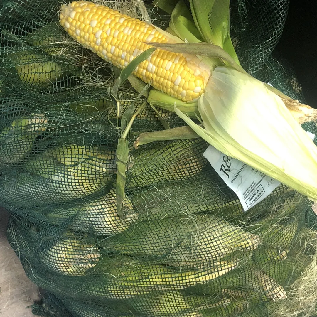 Fresh #Corn photo 1