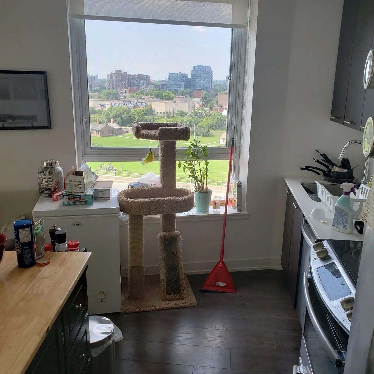 Looking for Roommate!! Downtown Toronto. $1,290/month. 2 bed/... photo 3
