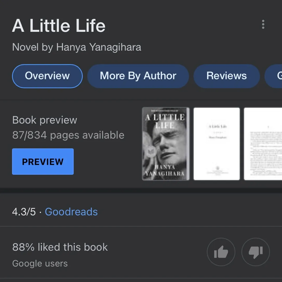 In Search Of This Book: A Little Life photo 1