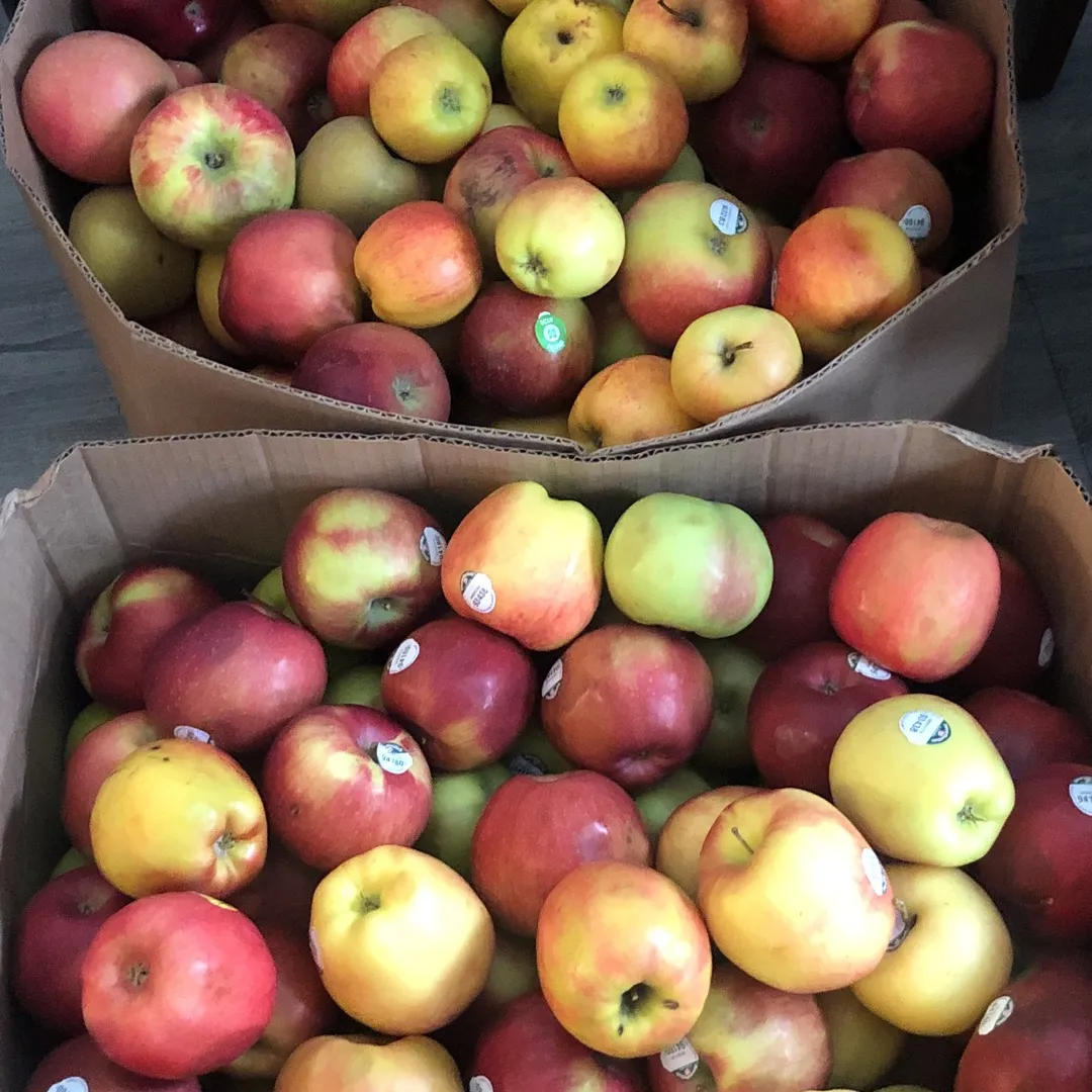 Organic Apples photo 1