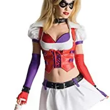 Harley Quinn Costume photo 1