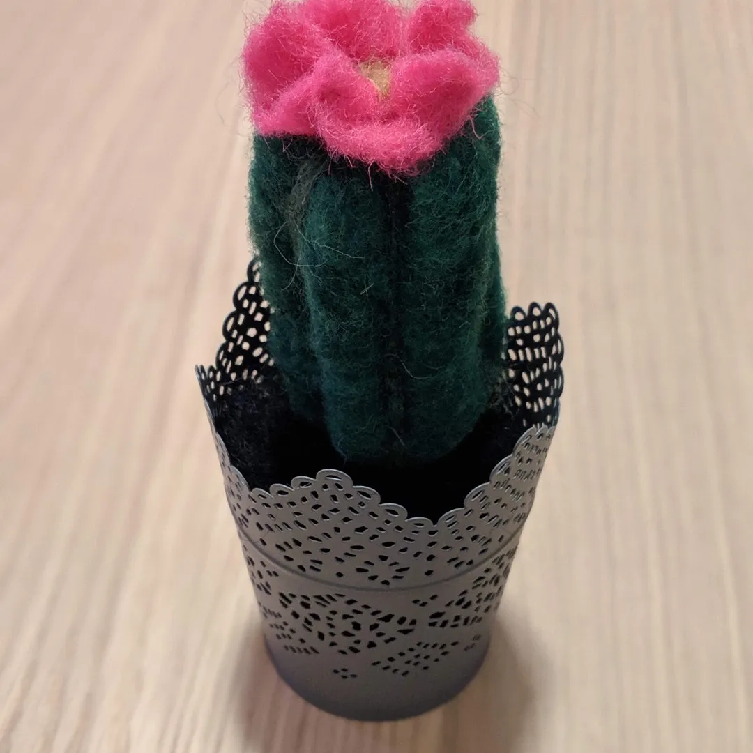 Felt Cactus 🌵 photo 1