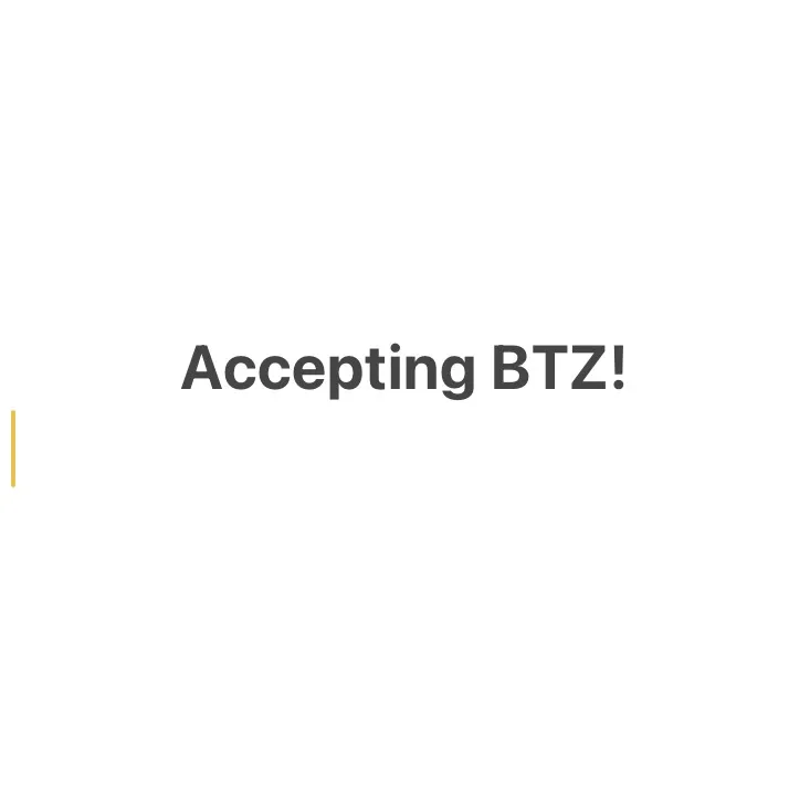 Accepting BTZ for Items with A Btz Value photo 1