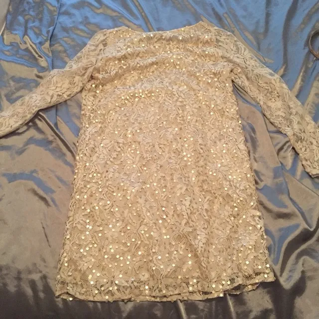 Sequin And Lace Dress photo 1