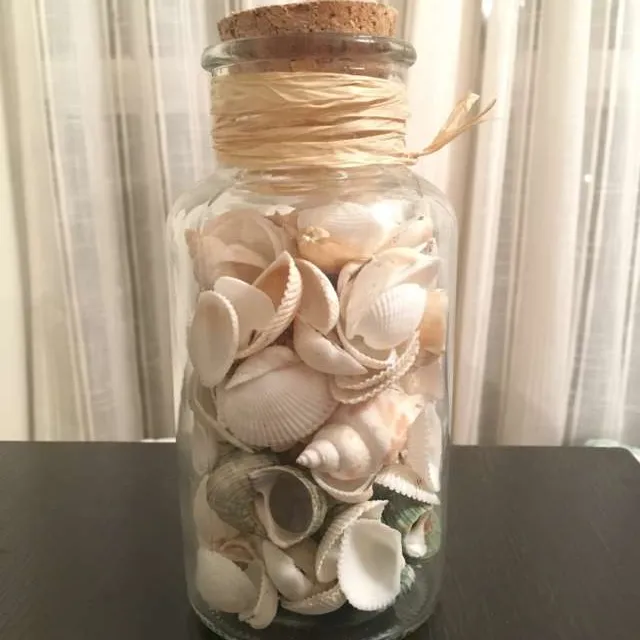 Jar Of Shells photo 1