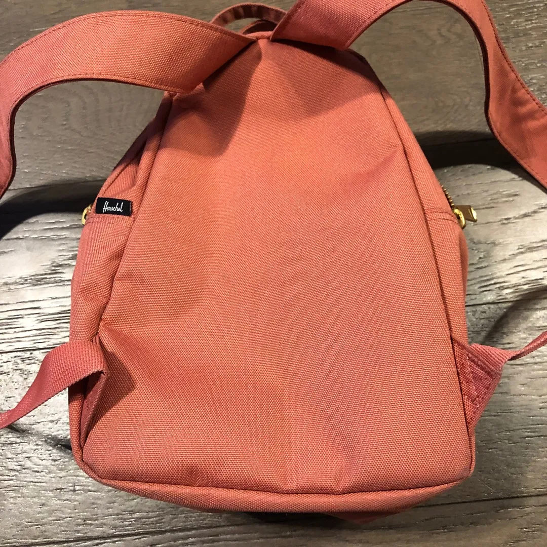 Herschel Mini Nova Mini Backpack - Dusty Cedar photo 5