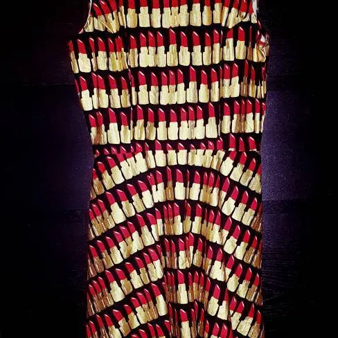 Lipstick Dress Size Small photo 1