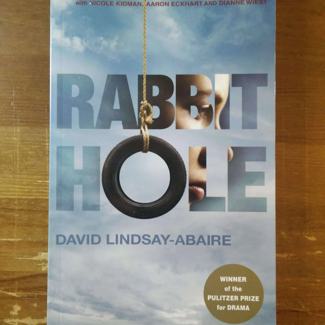Rabbit Hole by David Lindsay-Abaire photo 1