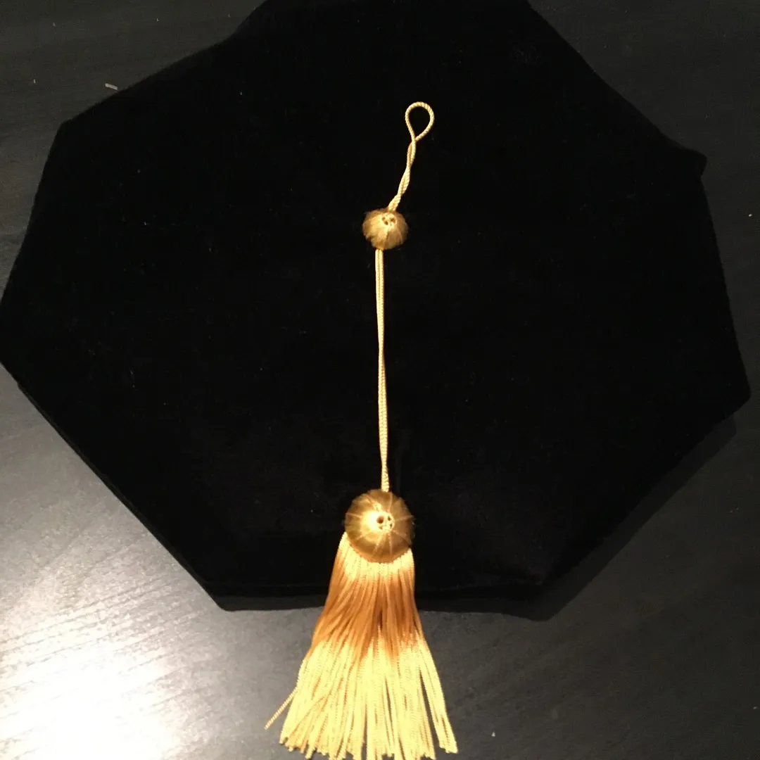 Velvet Graduation Cap 🎓 photo 1