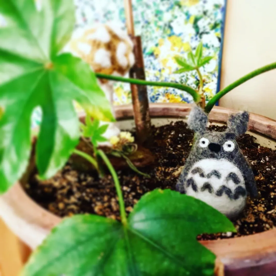 Totoro & Friends photo 7