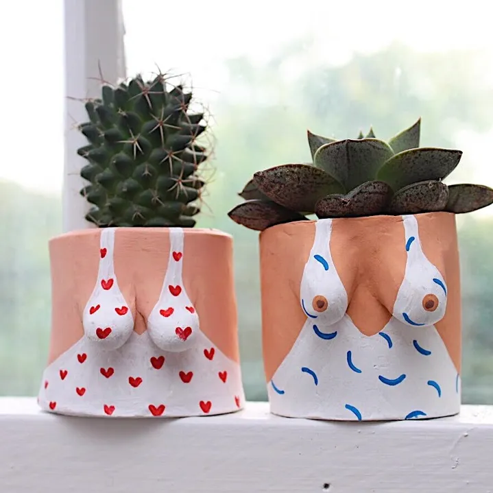 Mini Patterned Boob Pots with Succulents! photo 3