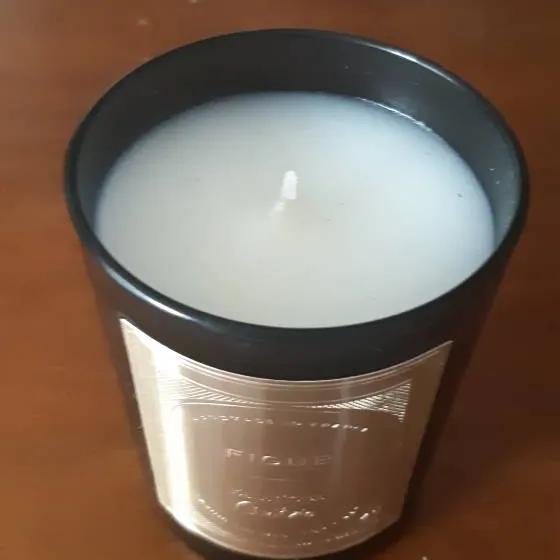 Aritzia Figue Scented Candle photo 4