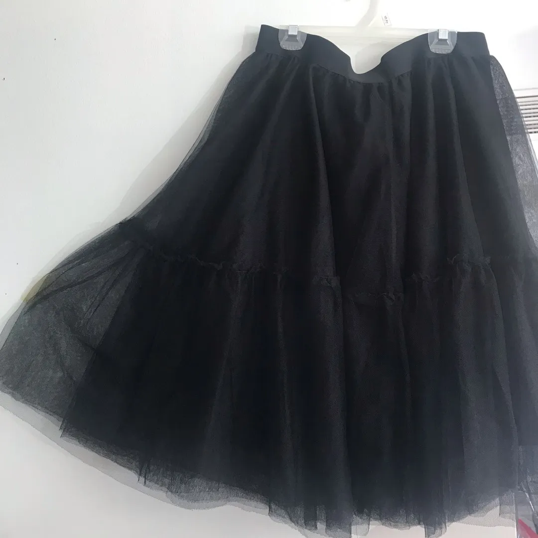Black Skirt photo 3