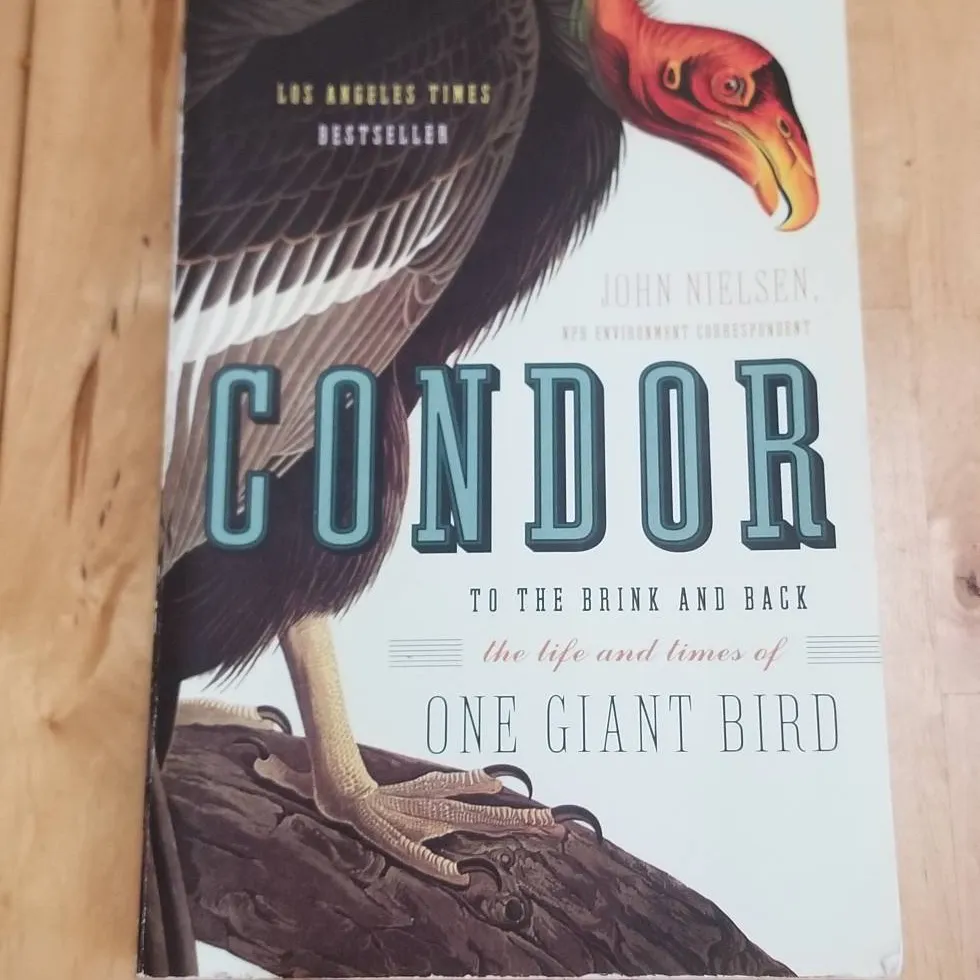 "Condor" Book photo 1