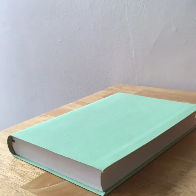 Pastel Mint Coloured Lined Notebook photo 1