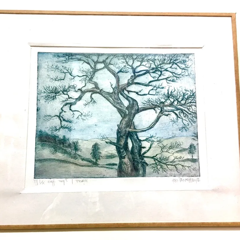 Framed Drawing photo 1
