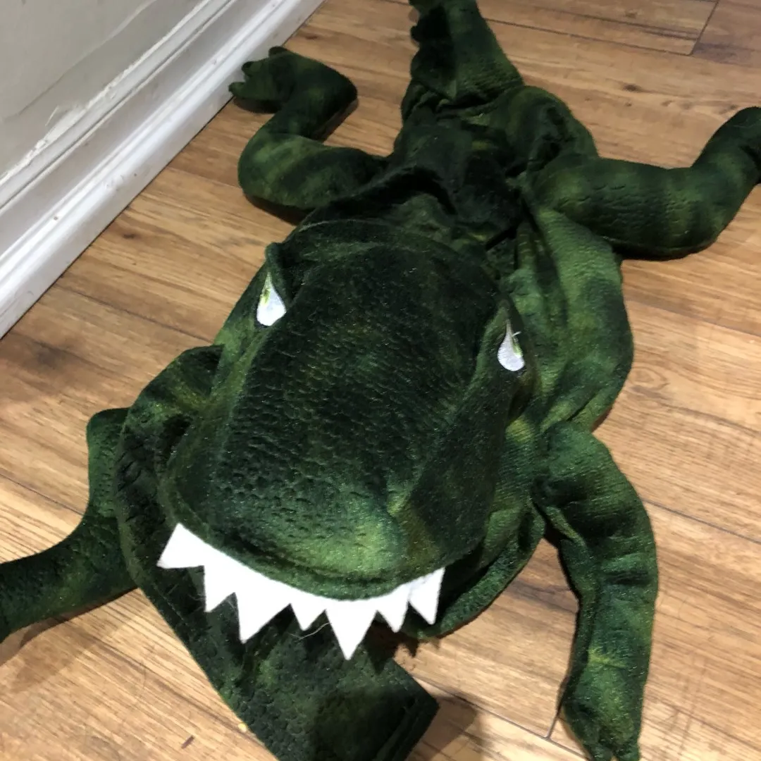 Dog Dinosaur Costume photo 1