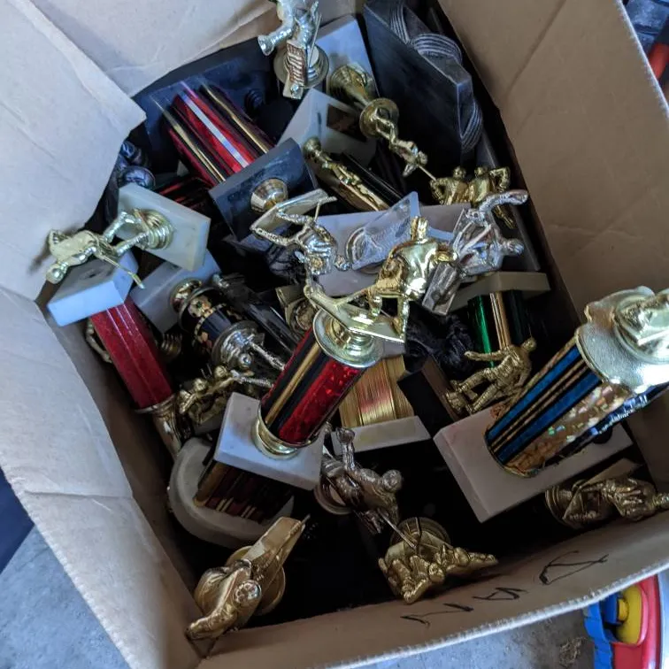 Old Trophies for free! photo 1