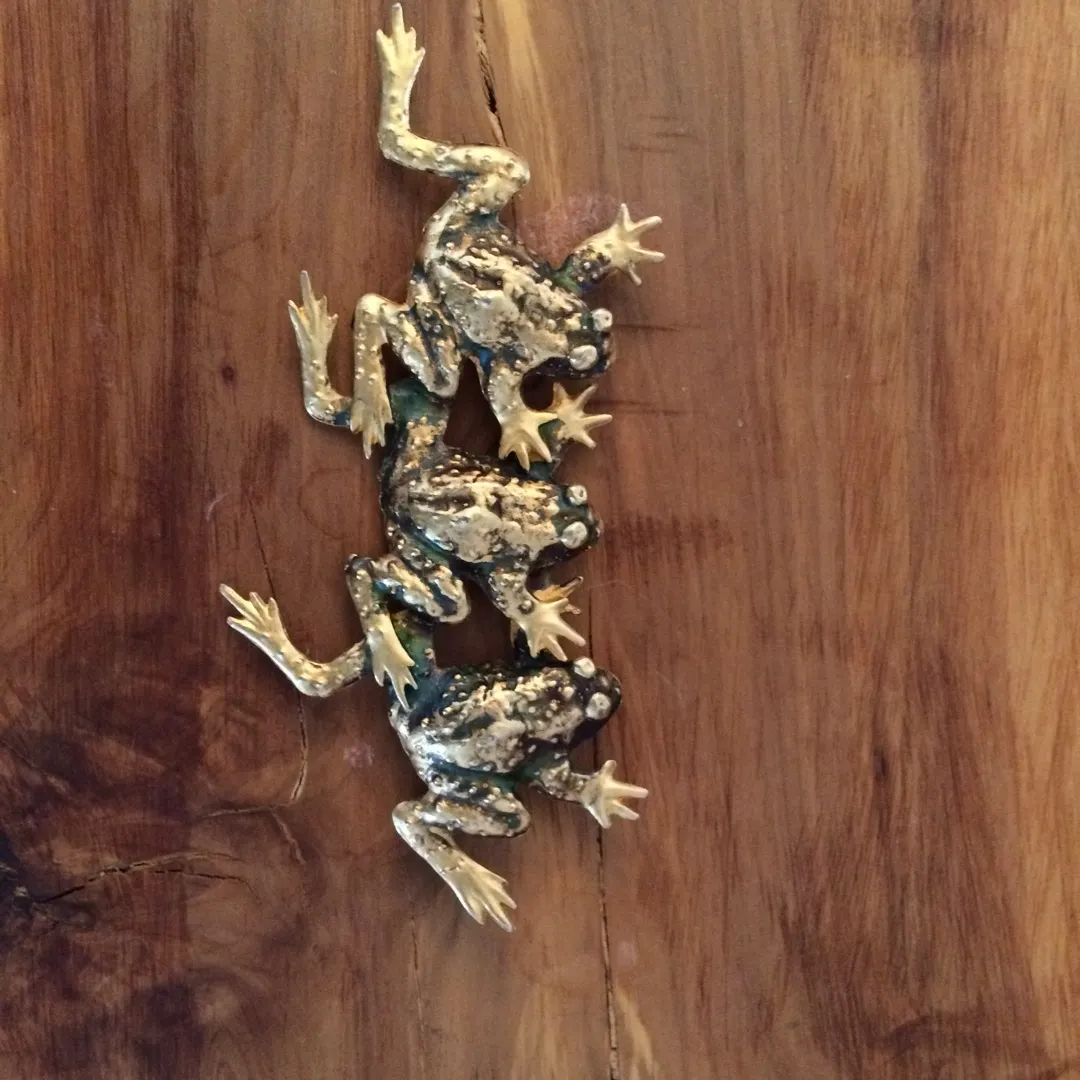 Frog 🐸 Necklace Pendant photo 1