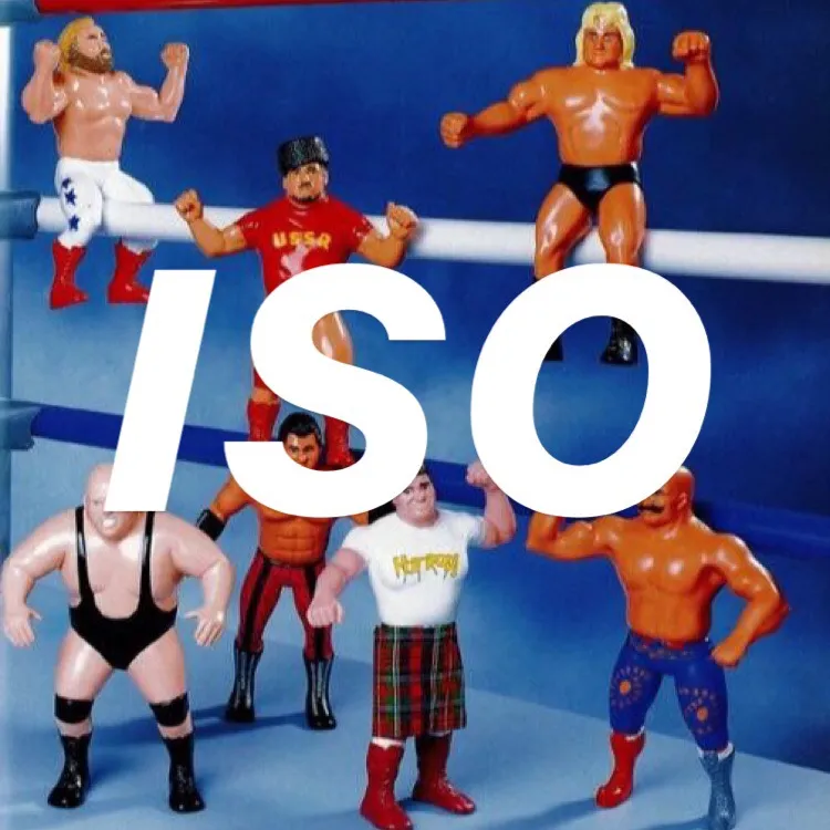 ISO LJN Wrestling Figures photo 1