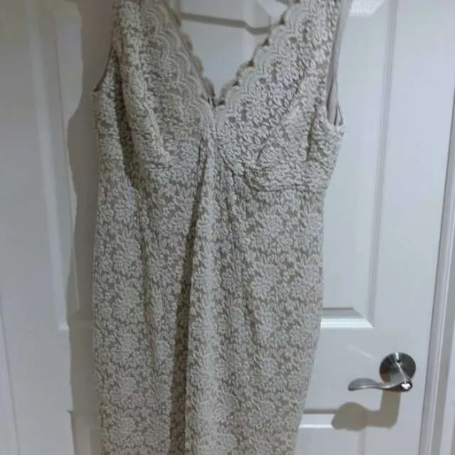 Beige/off White Lace Floral Dress photo 1