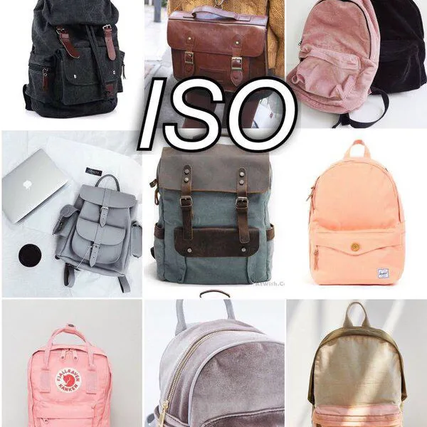 ISO backpack photo 1
