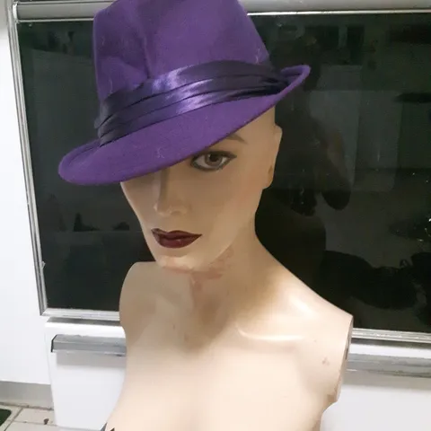 Assorted Fedora Hats photo 1